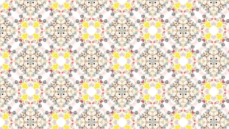 クリエイターの作品