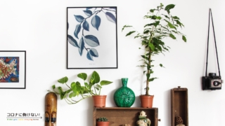 ばぐばぐちゃんの作品