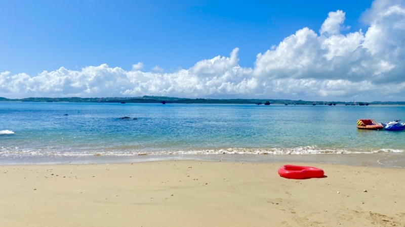 クリエイターの作品