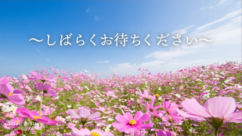 クリエイターの作品