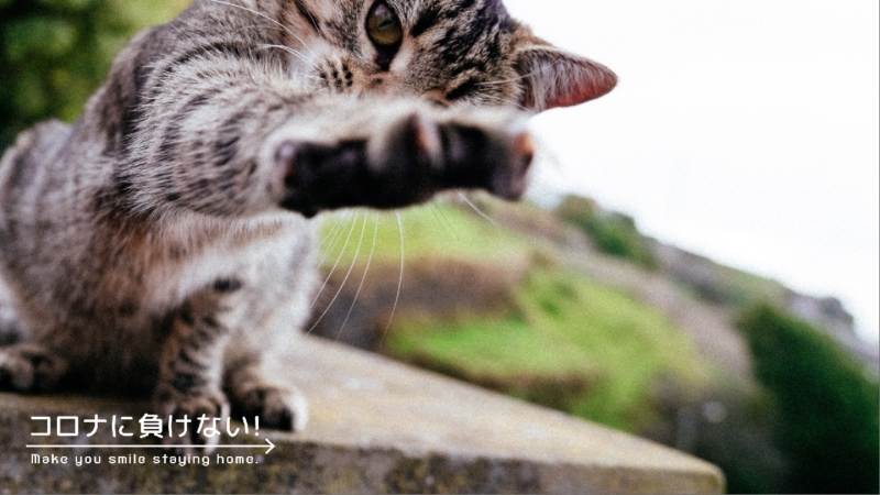 クリエイターの作品