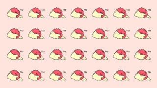 ばぐばぐちゃんの作品