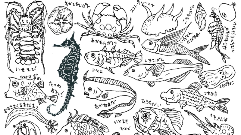 クリエイターの作品