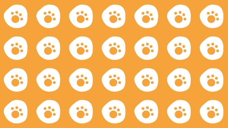 クリエイターの作品