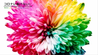Playful-bgbgchanの作品