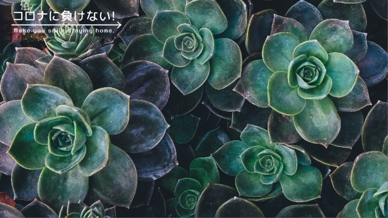 クリエイターの作品