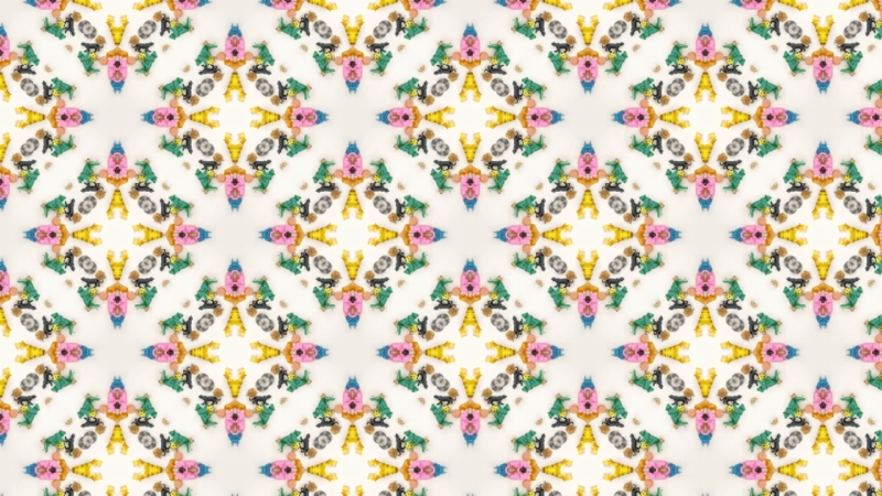 クリエイターの作品