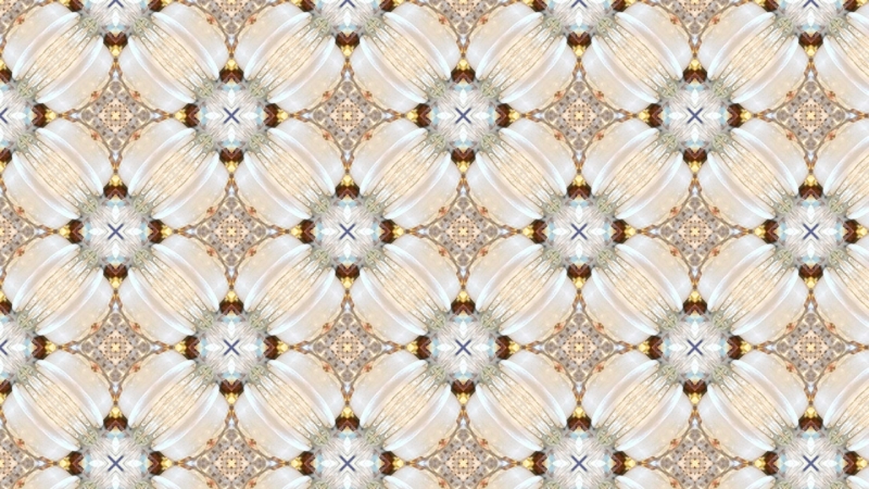 クリエイターの作品