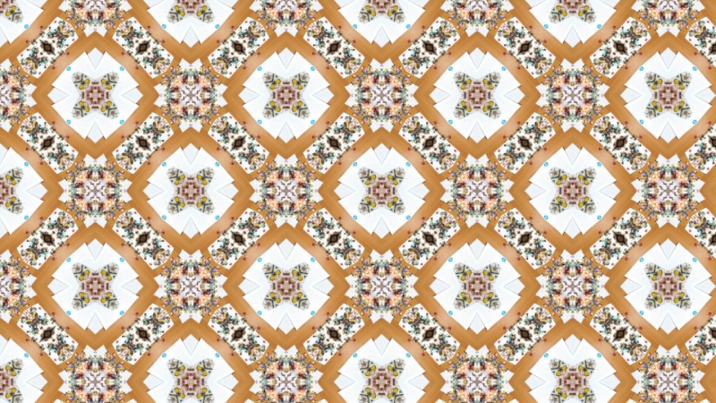 クリエイターの作品