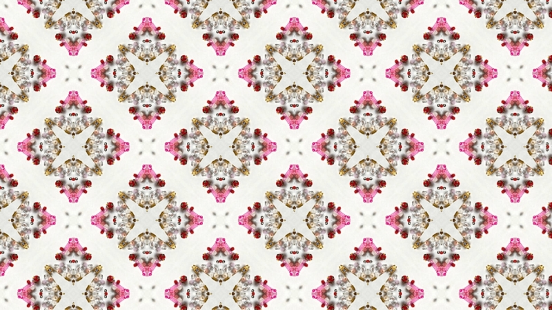 クリエイターの作品