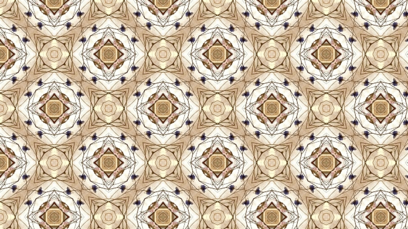 クリエイターの作品