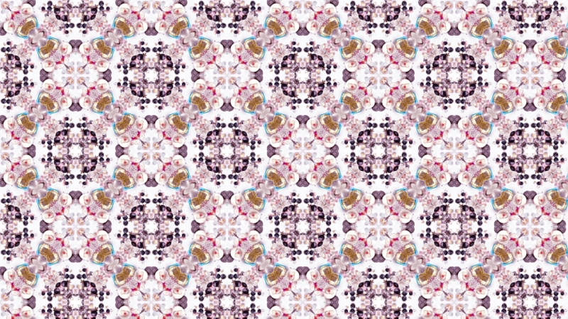 クリエイターの作品