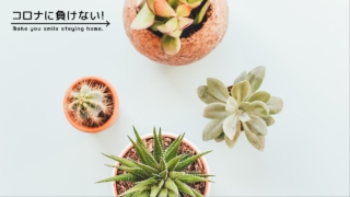 ばぐばぐちゃんの作品