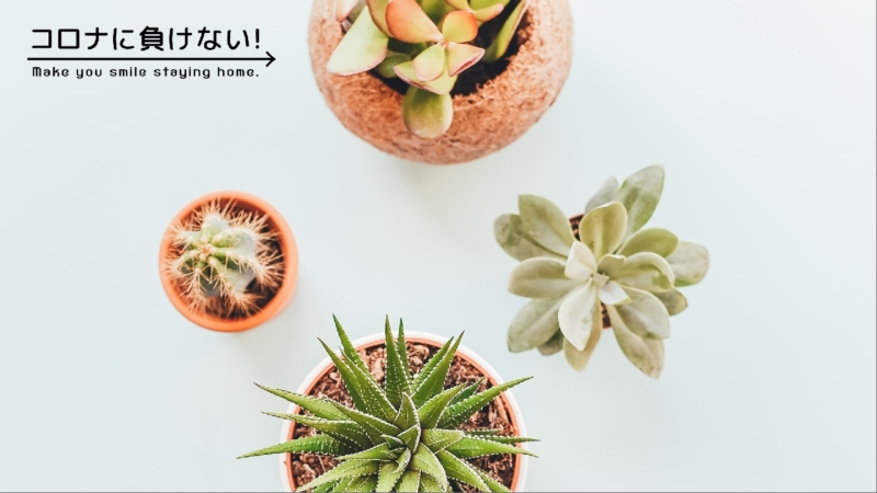 クリエイターの作品