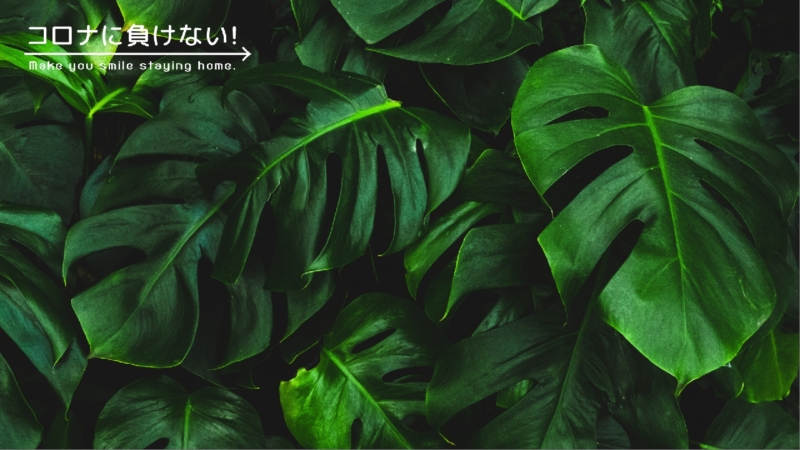 クリエイターの作品