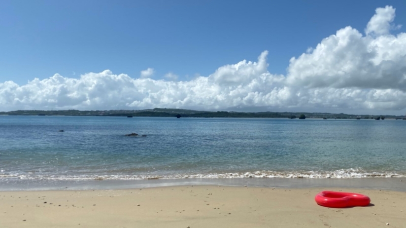 クリエイターの作品