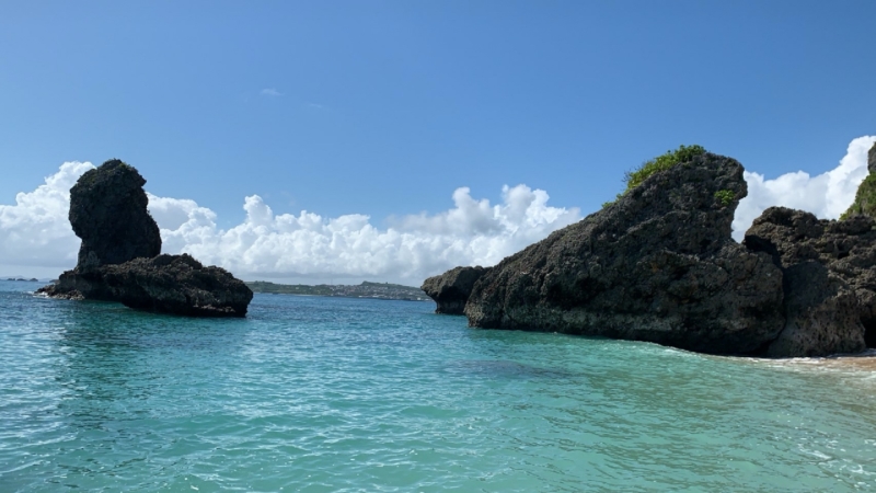 クリエイターの作品