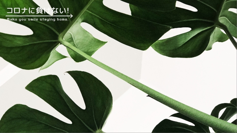 クリエイターの作品