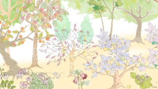 sake-dwarfの作品