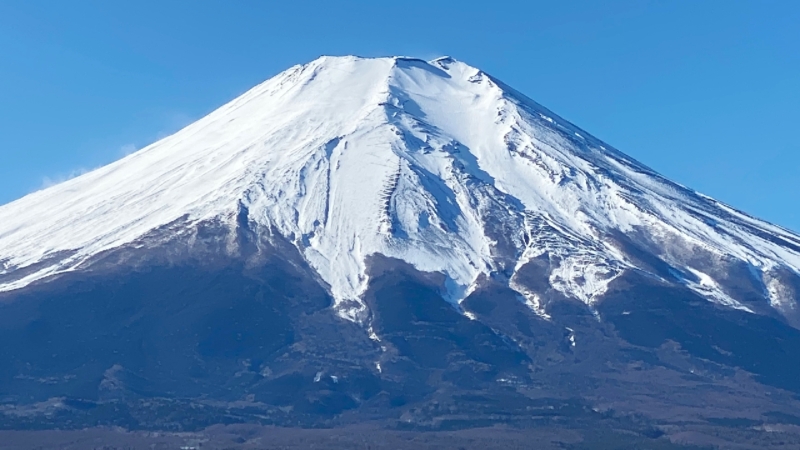 クリエイターの作品