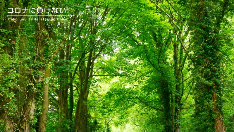 クリエイターの作品