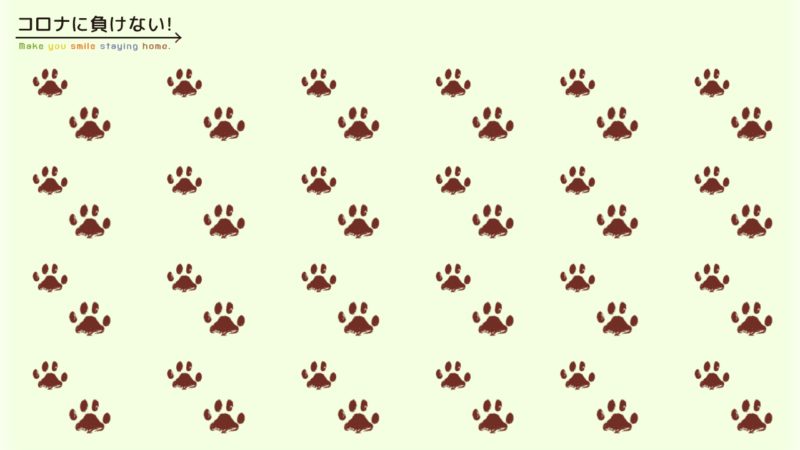 クリエイターの作品